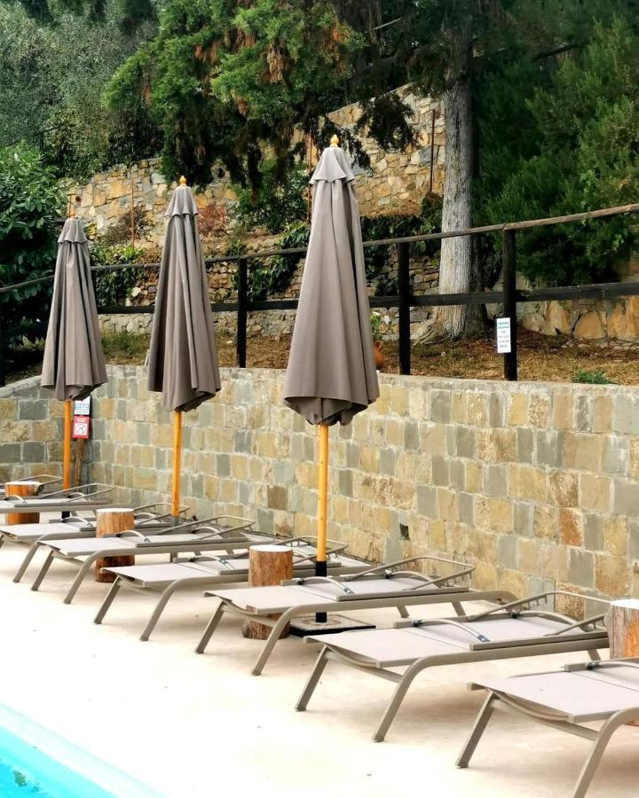 Agriturismo Osteria Du Barba Pe' - Casa Cassini بورديغيرا المظهر الخارجي الصورة
