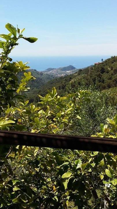 Agriturismo Osteria Du Barba Pe' - Casa Cassini بورديغيرا المظهر الخارجي الصورة