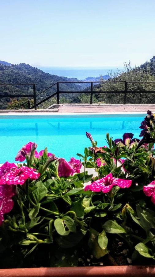 Agriturismo Osteria Du Barba Pe' - Casa Cassini بورديغيرا المظهر الخارجي الصورة